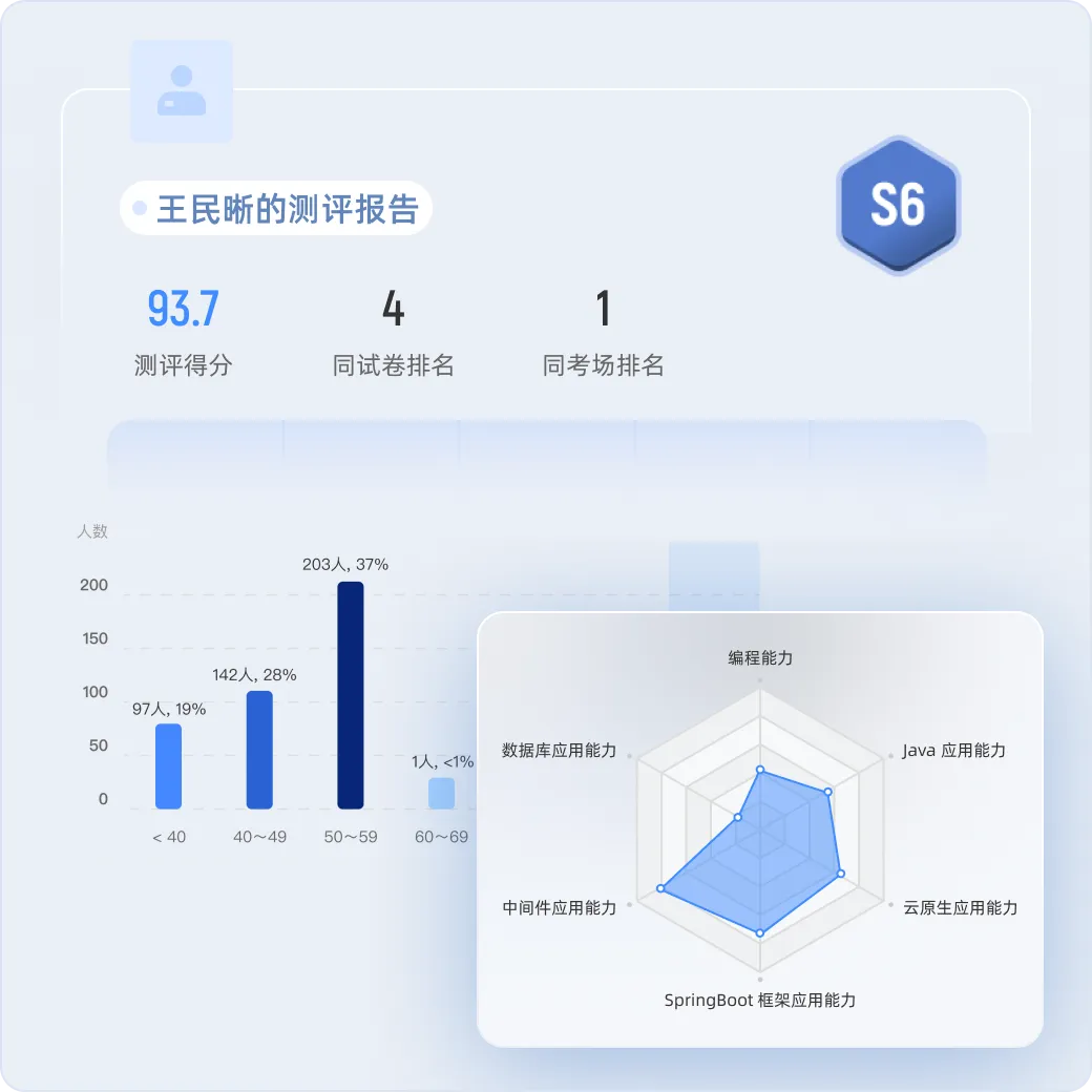 人才测评报告,丰富信息支持